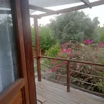 Bahar Bahce Datca
