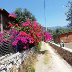 Bahar Bahce Datca Mesudiye (Datca)