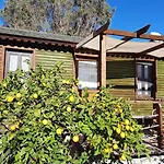 Resort Bahar Bahce Datca Mesudiye (Datca)