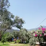 Bahar Bahce Datca 3* Mesudiye (Datca)