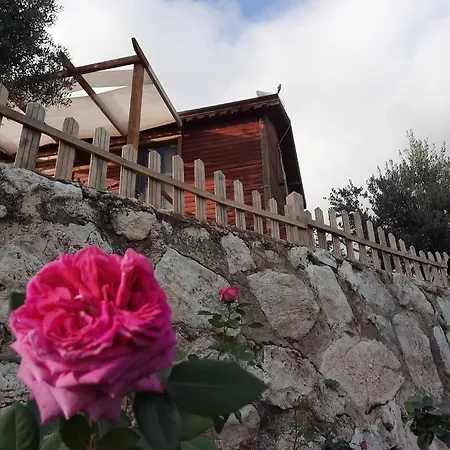 Bahar Bahce Datca 3*