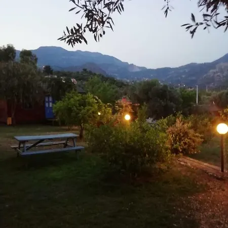 Bahar Bahce Datca