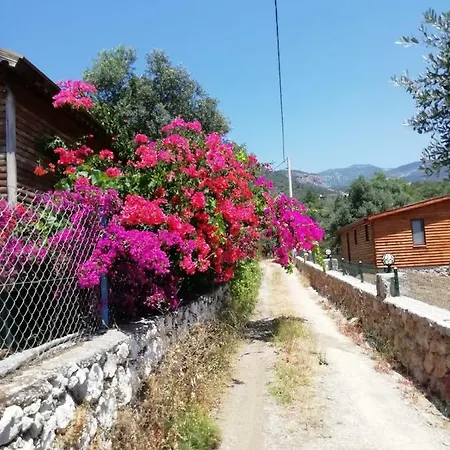 Bahar Bahce Datca Resort Mesudiye (Datca)