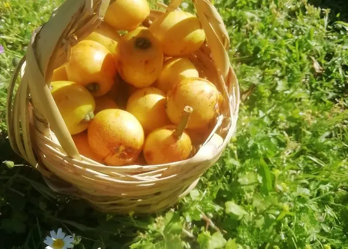 Bahar Bahce Datca Resort 3*