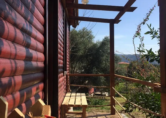 Bahar Bahce Datca Mesudiye (Datca)