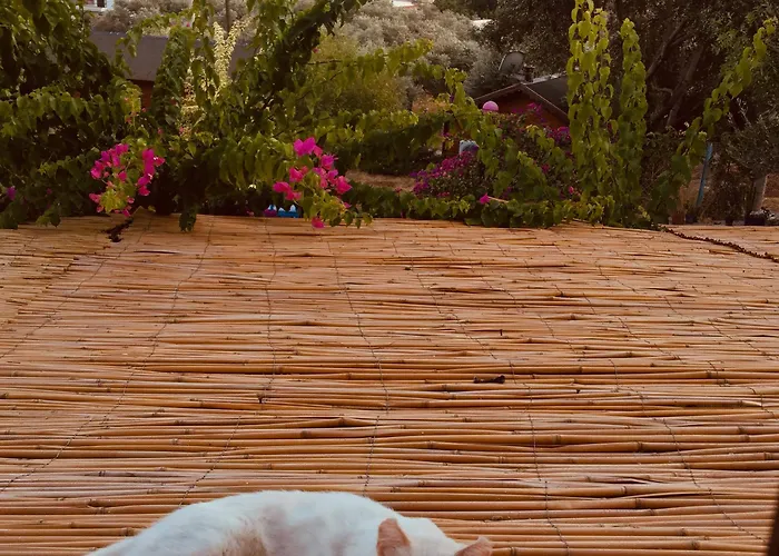 Bahar Bahce Datca Resort 3*