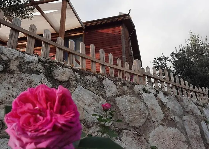 Bahar Bahce Datca 3*