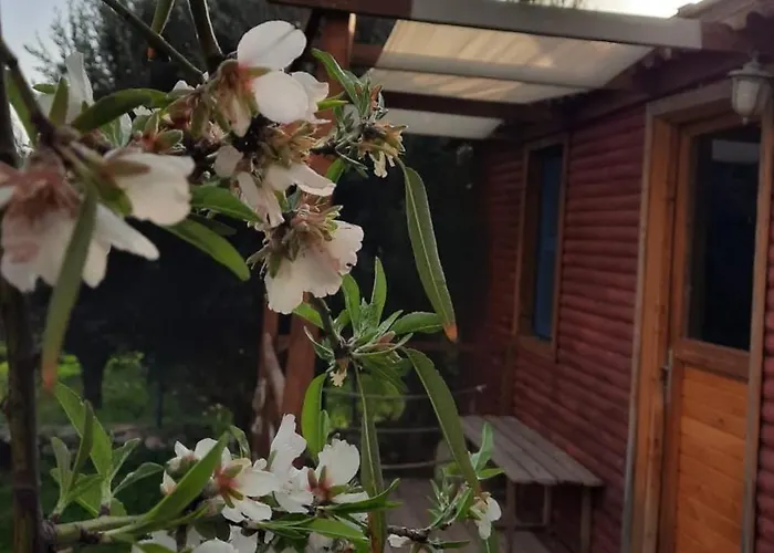 Bahar Bahce Datca Resort 3*