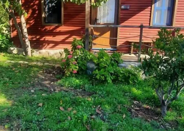 Bahar Bahce Datca 3* Mesudiye (Datca)