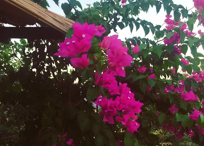 Bahar Bahce Datca Resort 3*