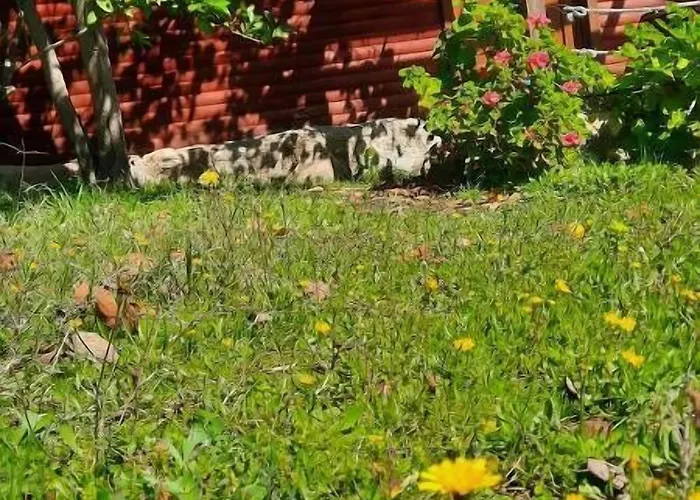 Bahar Bahce Datca Resort 3*