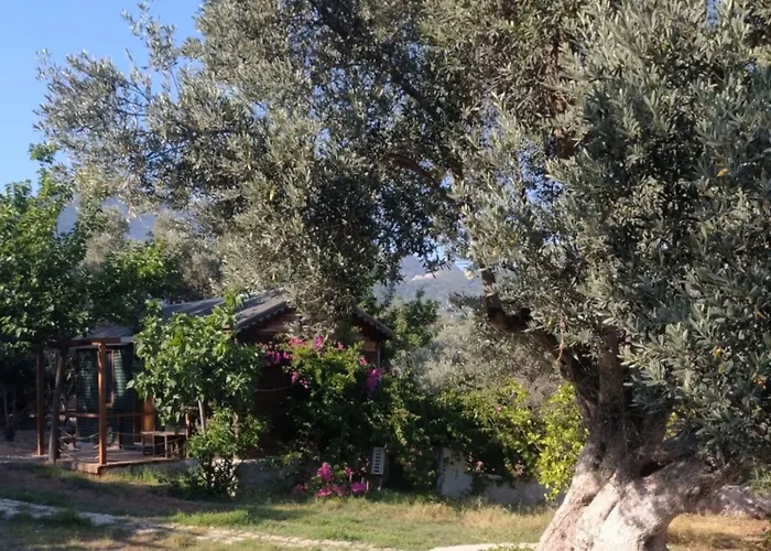 Resort Bahar Bahce Datca 3*