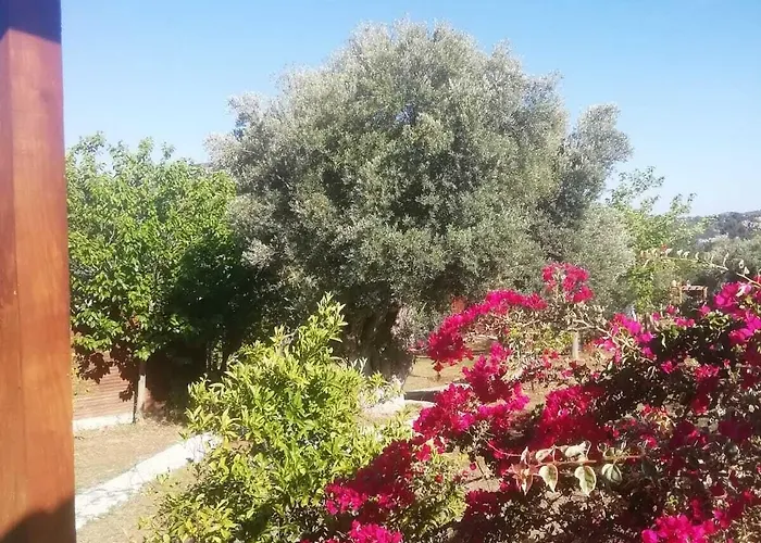 Bahar Bahce Datca 3* Mesudiye (Datca)