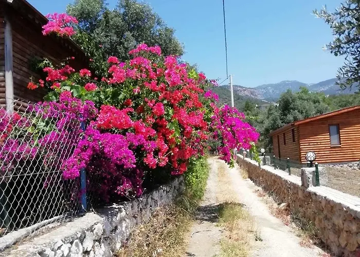 Bahar Bahce Datca Mesudiye (Datca)