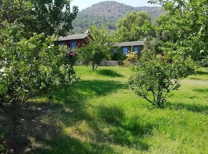 Bahar Bahce Datca 3*