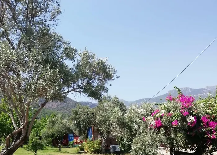 Bahar Bahce Datca 3* Mesudiye (Datca)