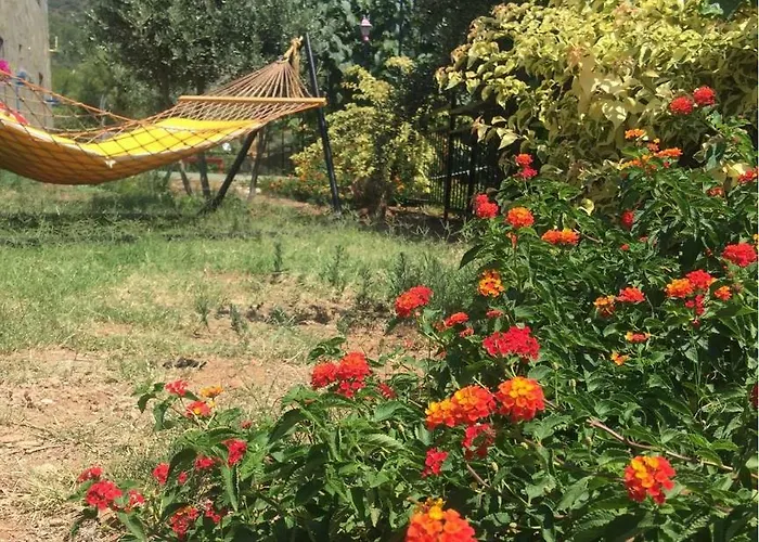 Bahar Bahce Datca 3*