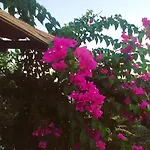 Bahar Bahce Datca Üdülőközpont 3*