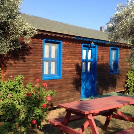 Bahar Bahce Datca Mesudiye (Datca)