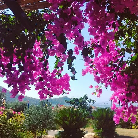 Bahar Bahce Datca Курортный комплекс 3*