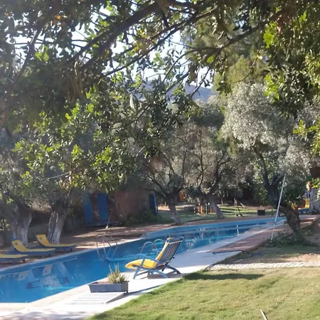 Bahar Bahce Datca 度假村 Mesudiye (Datca)