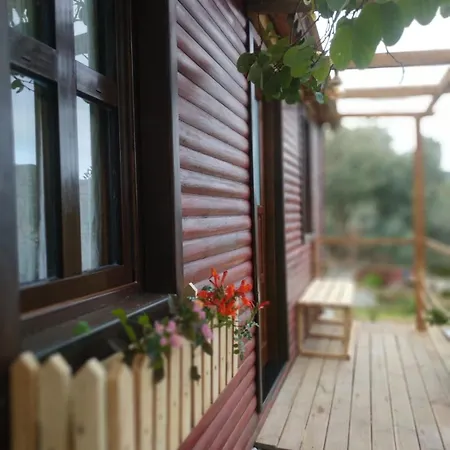 Resort Bahar Bahce Datca 3*