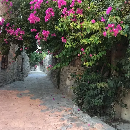 Bahar Bahce Datca 度假村 Mesudiye (Datca)
