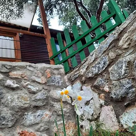 Bahar Bahce Datca 3*