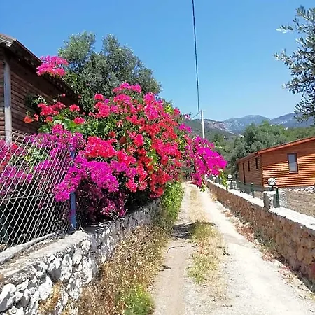 Bahar Bahce Datca 度假村 3*