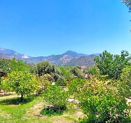 Bahar Bahce Datca
