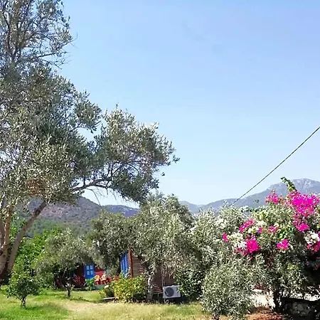Bahar Bahce Datca 度假村 3*