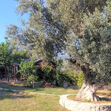 Bahar Bahce Datca 度假村 Mesudiye (Datca)