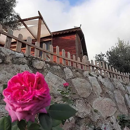 度假村 Bahar Bahce Datca Mesudiye (Datca)