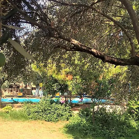 Bahar Bahce Datca 3* Mesudiye (Datca)