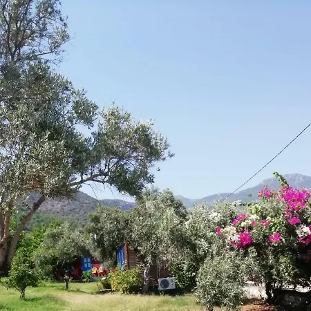 Bahar Bahce Datca 3* Месудие