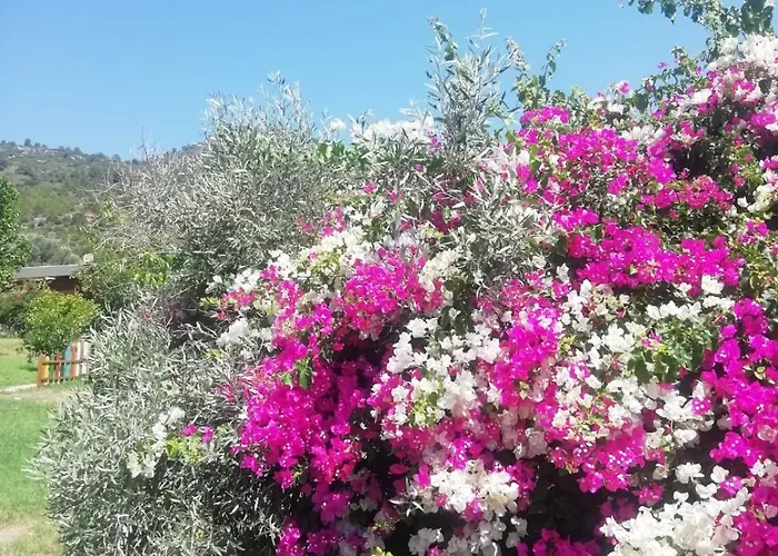 Bahar Bahce Datca Resort Mesudiye (Datca)