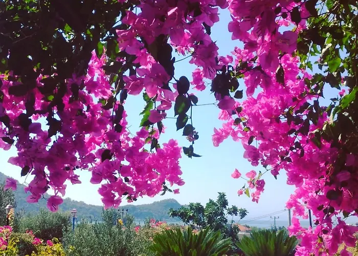 Bahar Bahce Datca Resort 3*