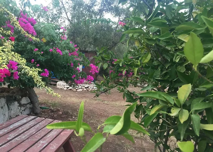 Bahar Bahce Datca 3* Mesudiye (Datca)